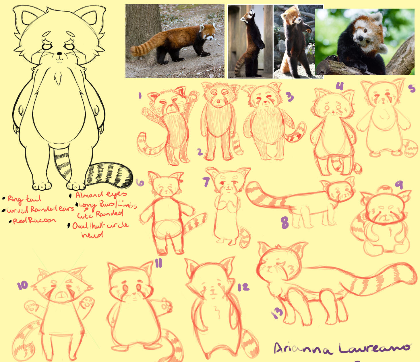 Animal Study done in CSP